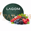 Табак для кальяна Lagom Navy Shockberry 40 гр. Фото.